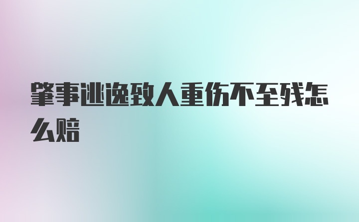 肇事逃逸致人重伤不至残怎么赔