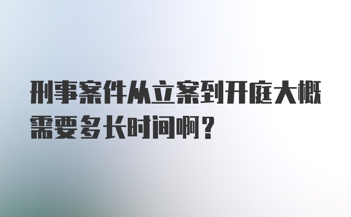 刑事案件从立案到开庭大概需要多长时间啊？