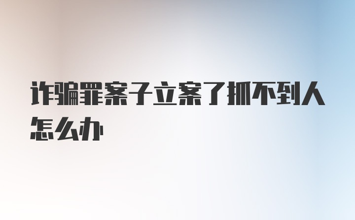 诈骗罪案子立案了抓不到人怎么办