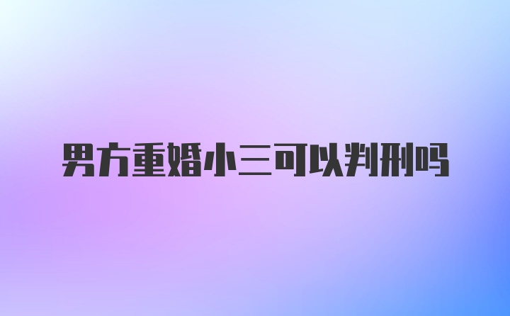 男方重婚小三可以判刑吗