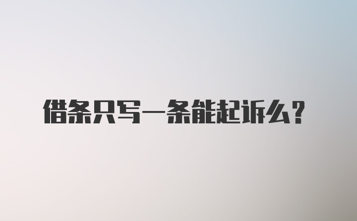 借条只写一条能起诉么？