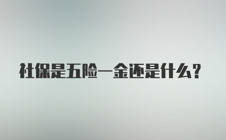 社保是五险一金还是什么？