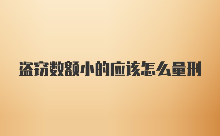 盗窃数额小的应该怎么量刑