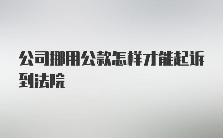 公司挪用公款怎样才能起诉到法院