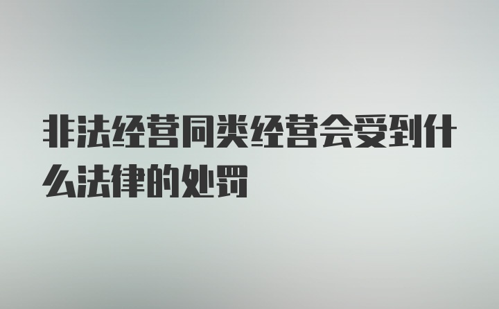 非法经营同类经营会受到什么法律的处罚