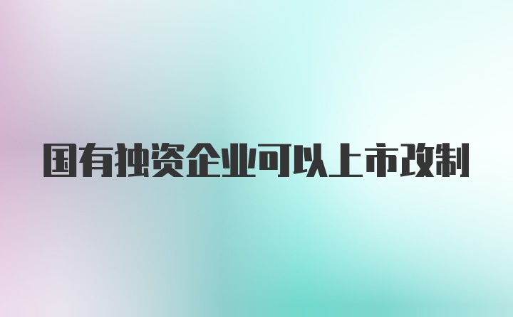 国有独资企业可以上市改制