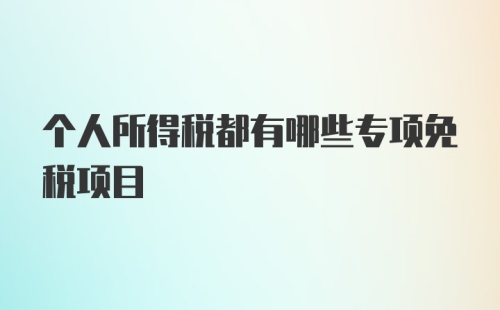 个人所得税都有哪些专项免税项目