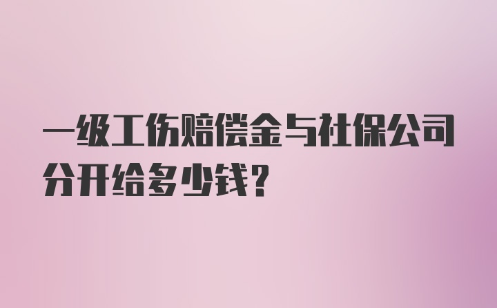 一级工伤赔偿金与社保公司分开给多少钱？