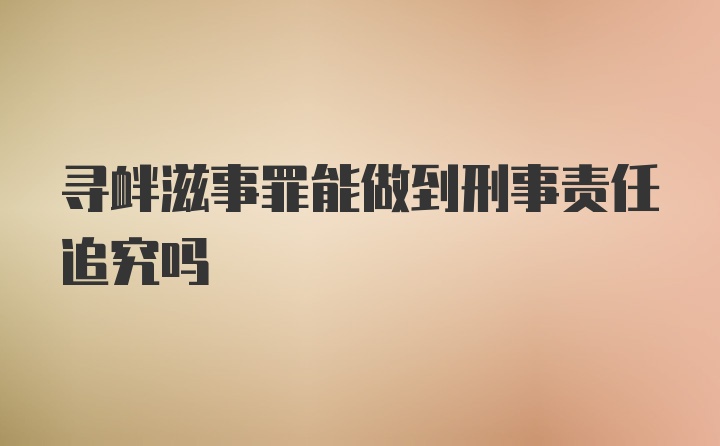 寻衅滋事罪能做到刑事责任追究吗