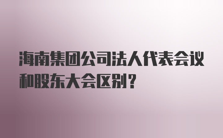 海南集团公司法人代表会议和股东大会区别?