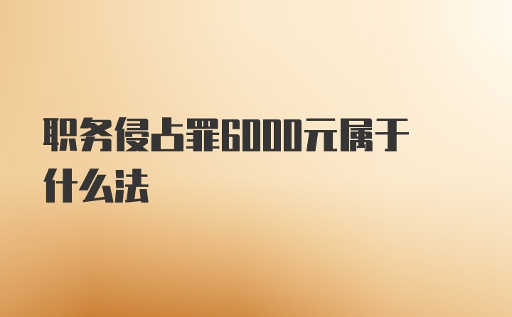 职务侵占罪6000元属于什么法