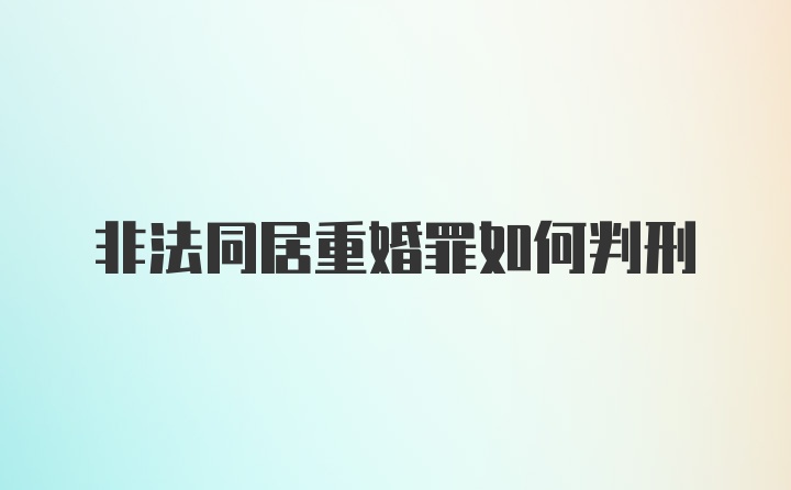 非法同居重婚罪如何判刑