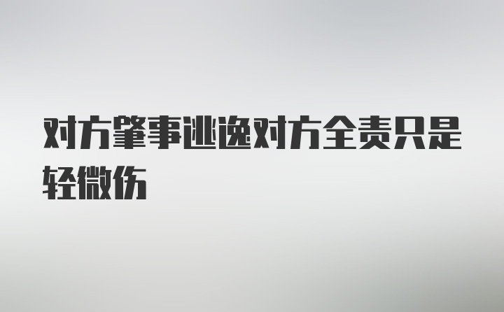 对方肇事逃逸对方全责只是轻微伤