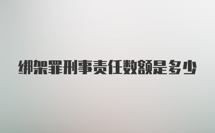 绑架罪刑事责任数额是多少