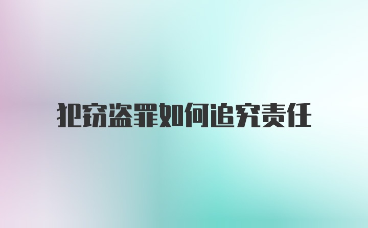 犯窃盗罪如何追究责任