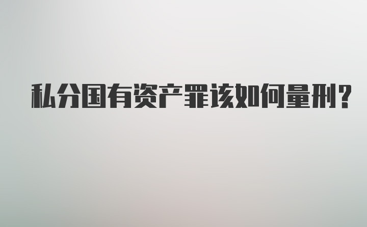 私分国有资产罪该如何量刑？