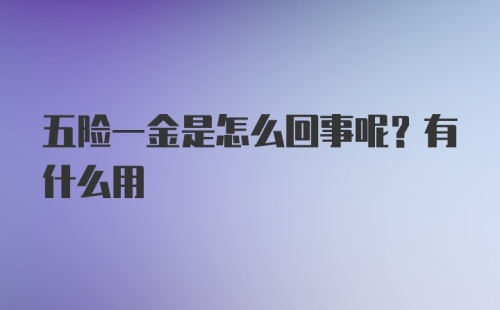 五险一金是怎么回事呢？有什么用