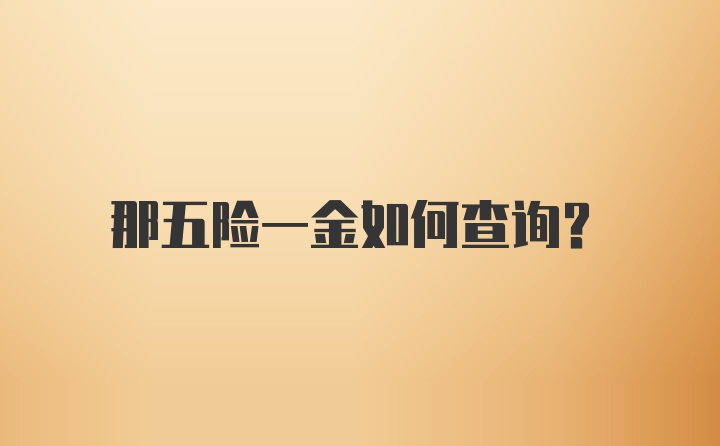 那五险一金如何查询？