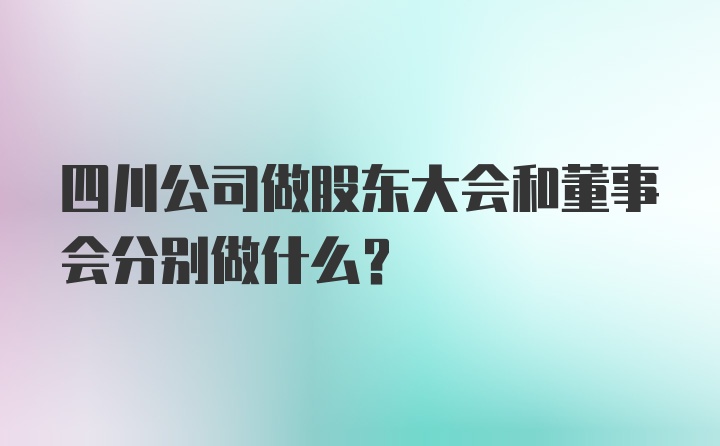 四川公司做股东大会和董事会分别做什么？