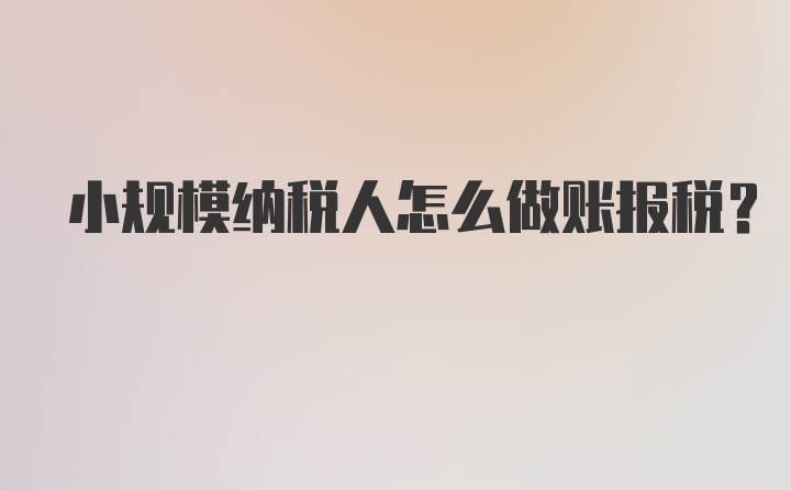 小规模纳税人怎么做账报税？