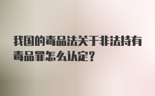 我国的毒品法关于非法持有毒品罪怎么认定？