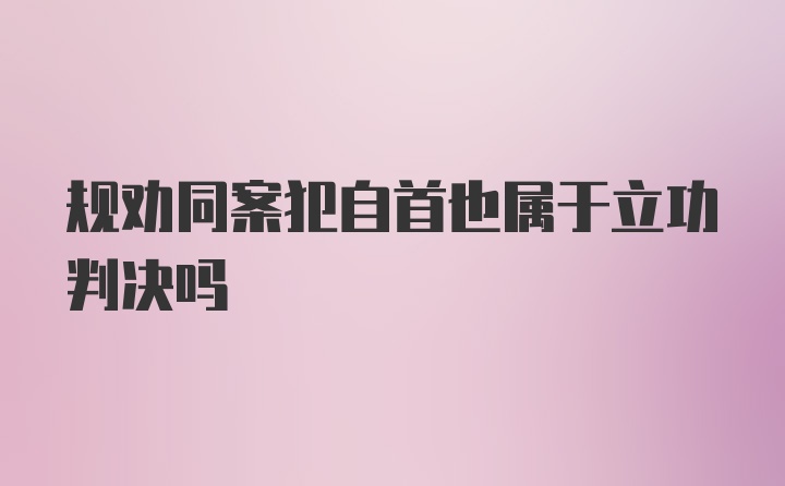 规劝同案犯自首也属于立功判决吗