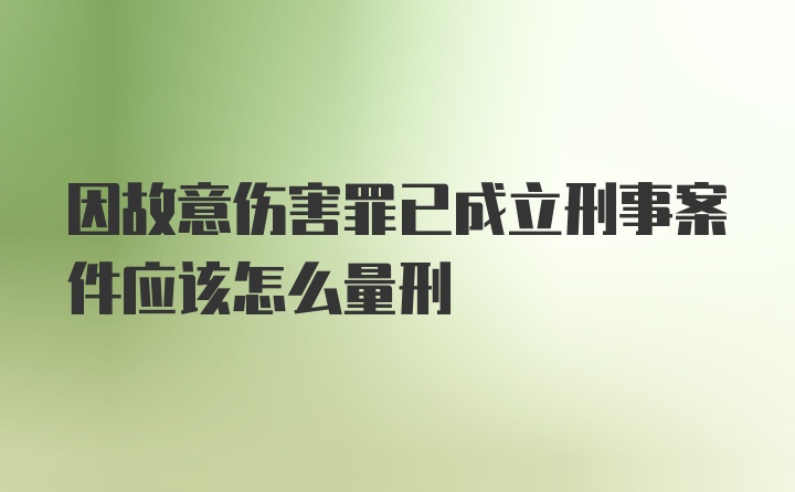 因故意伤害罪已成立刑事案件应该怎么量刑