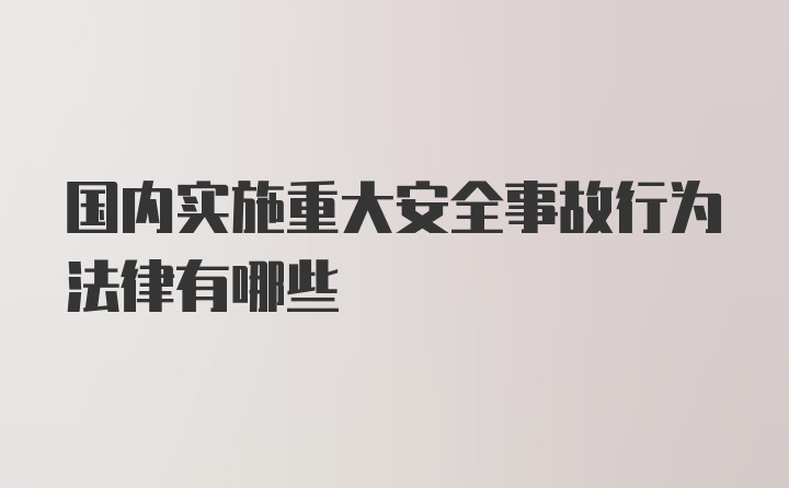 国内实施重大安全事故行为法律有哪些