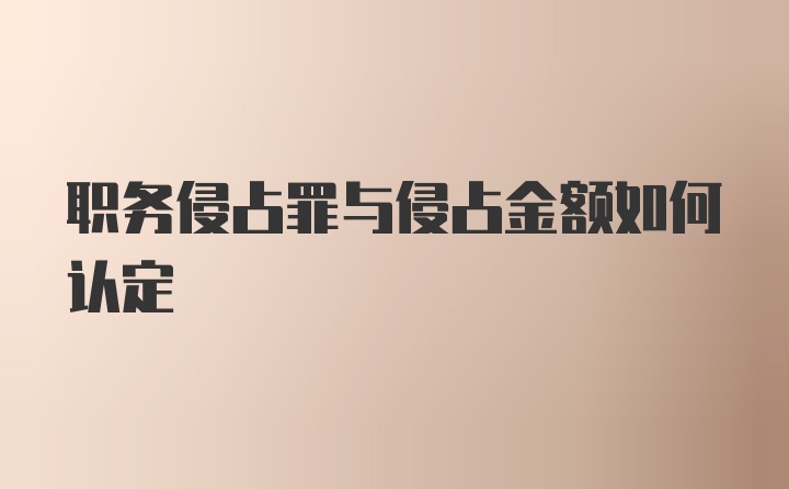 职务侵占罪与侵占金额如何认定