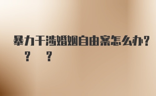 暴力干涉婚姻自由案怎么办? ? ?