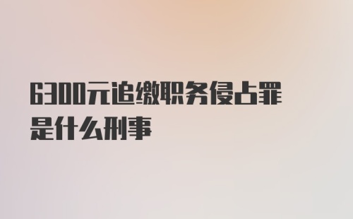 6300元追缴职务侵占罪是什么刑事