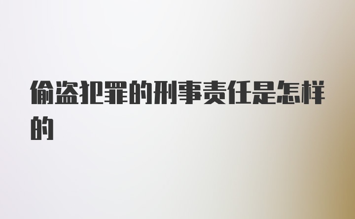 偷盗犯罪的刑事责任是怎样的