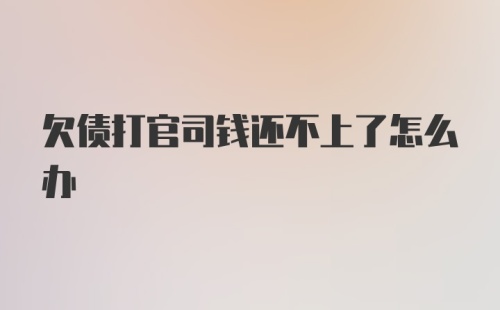 欠债打官司钱还不上了怎么办