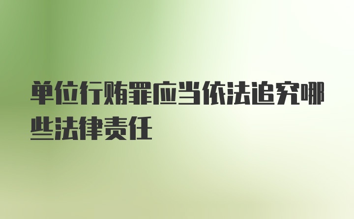 单位行贿罪应当依法追究哪些法律责任