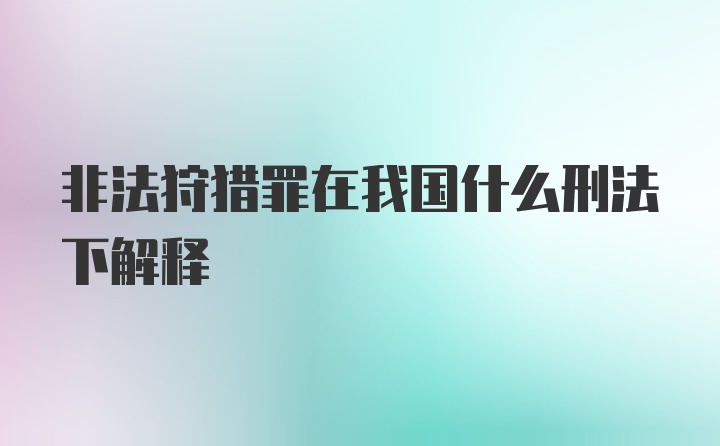 非法狩猎罪在我国什么刑法下解释