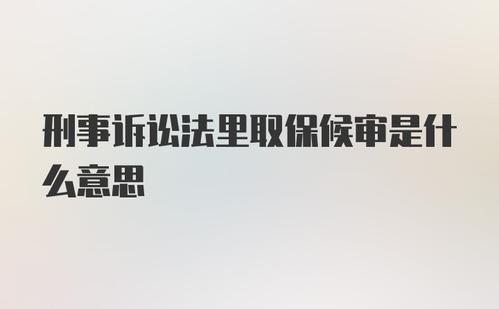 刑事诉讼法里取保候审是什么意思