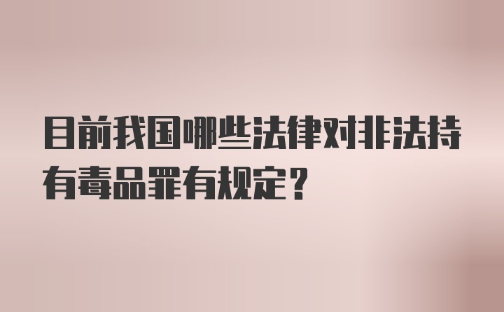 目前我国哪些法律对非法持有毒品罪有规定？