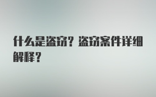 什么是盗窃？盗窃案件详细解释？