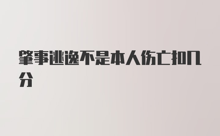 肇事逃逸不是本人伤亡扣几分