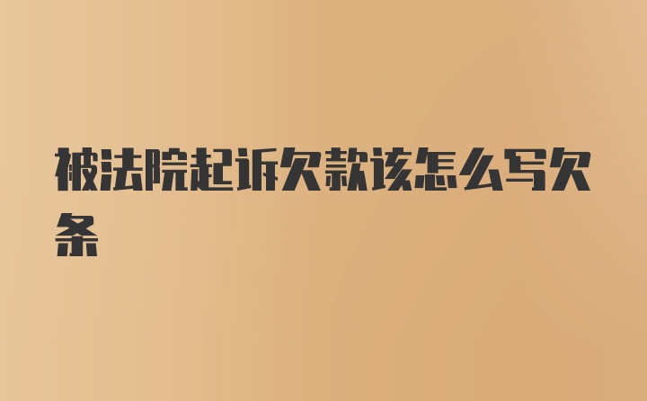 被法院起诉欠款该怎么写欠条