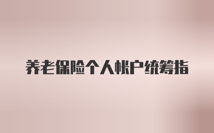 养老保险个人帐户统筹指