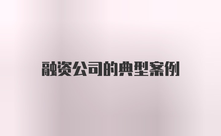 融资公司的典型案例