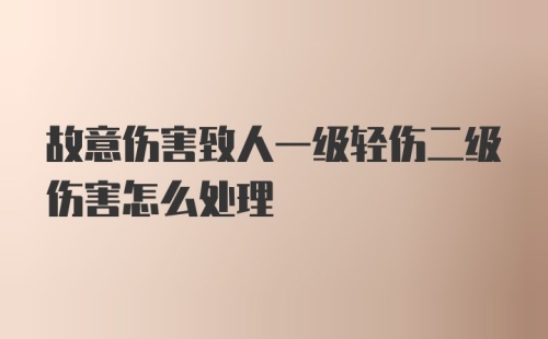 故意伤害致人一级轻伤二级伤害怎么处理