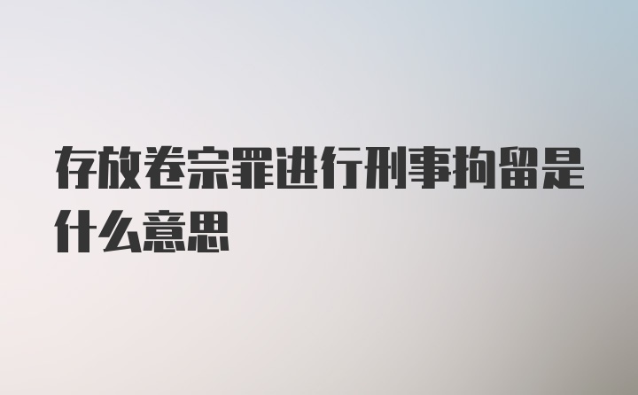 存放卷宗罪进行刑事拘留是什么意思