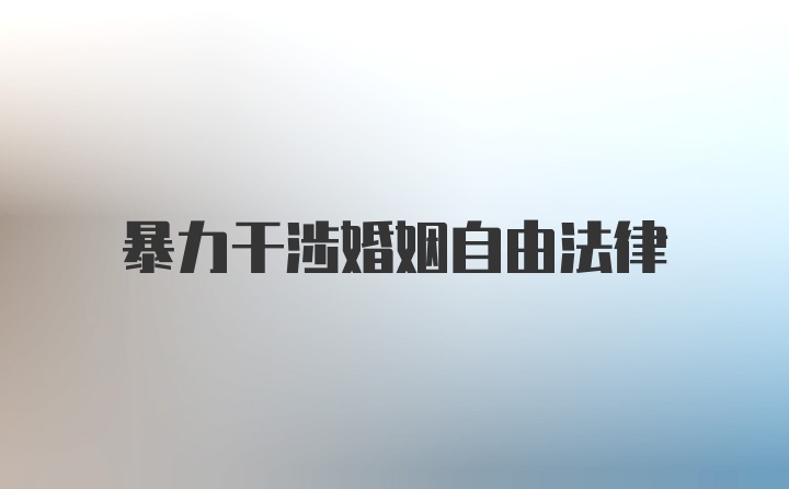 暴力干涉婚姻自由法律