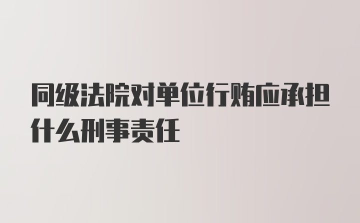 同级法院对单位行贿应承担什么刑事责任