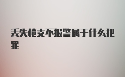 丢失枪支不报警属于什么犯罪