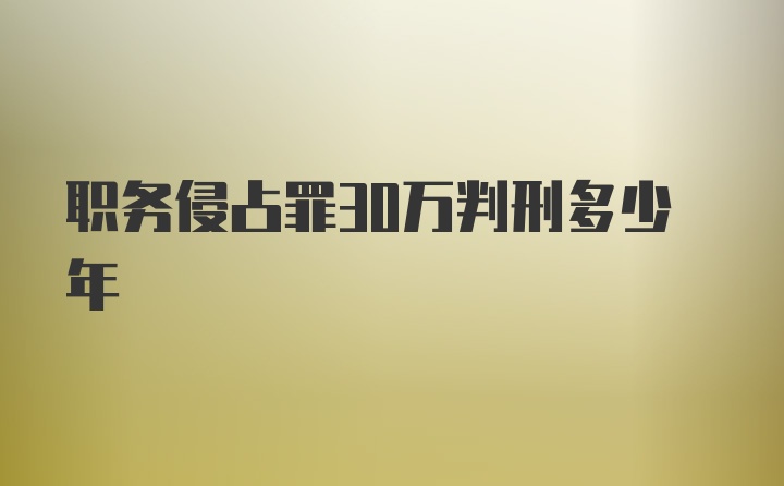 职务侵占罪30万判刑多少年