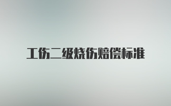 工伤二级烧伤赔偿标准