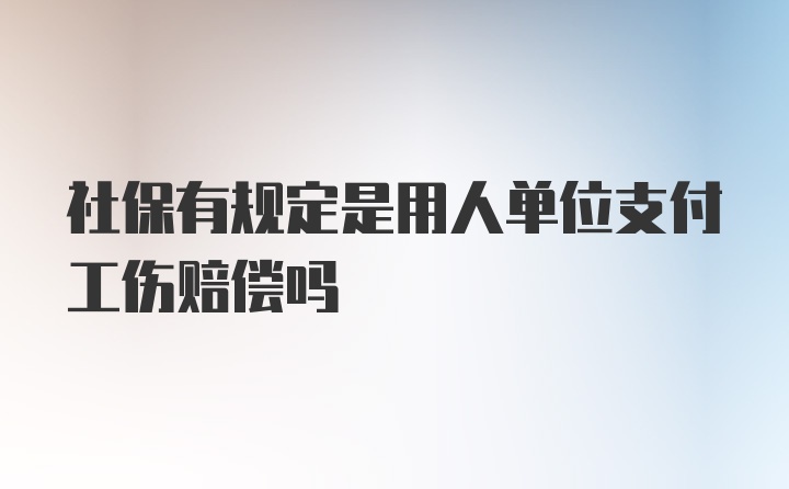 社保有规定是用人单位支付工伤赔偿吗